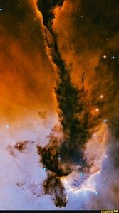 Meet your Posher, Briana